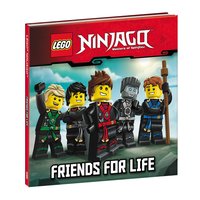 Набор LEGO Friends for Life