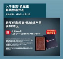 Набор LEGO Technic Passport