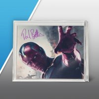 Набор LEGO Vision Photo Signed by Paul Bettany